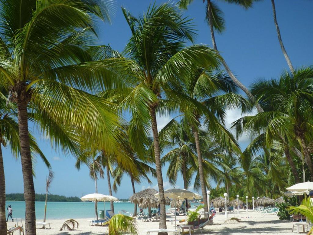 شقة Parco Del Caribe بوكا شيكا المظهر الخارجي الصورة